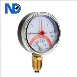 Combined thermo-pressure gauge